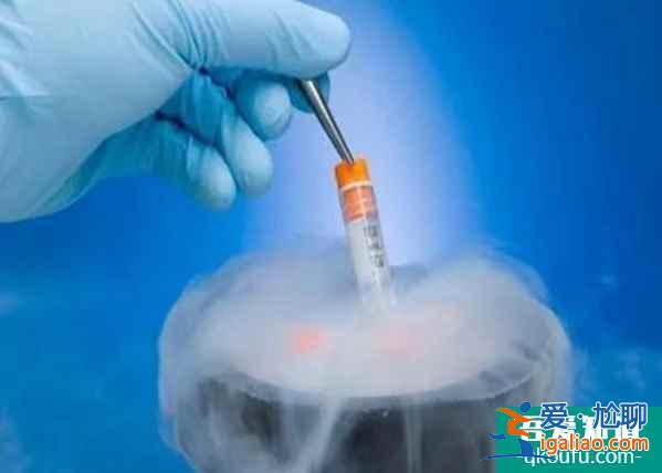 試管專家：移植鮮胚還是凍胚，主要看您適合哪種？