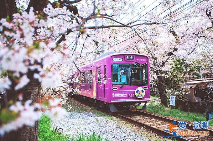 【嵐山櫻花隧道在哪】嵐山櫻花隧道怎么坐車，與嵐山小火車有什么差別？