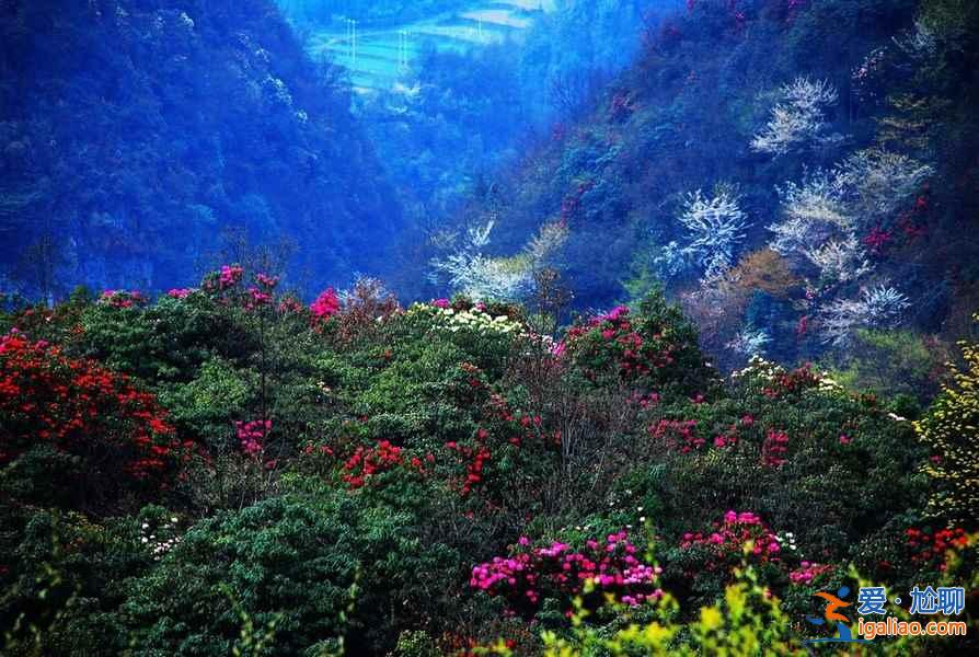 對的時間遇見對的風(fēng)景,每個月一條經(jīng)典路線推薦,12月走起? 對的時間遇見對的風(fēng)景,每個月一條經(jīng)典路線推薦,12月走起?