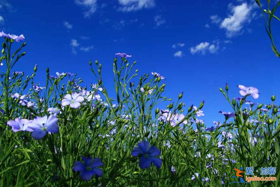 對的時間遇見對的風(fēng)景,每個月一條經(jīng)典路線推薦,12月走起? 對的時間遇見對的風(fēng)景,每個月一條經(jīng)典路線推薦,12月走起?