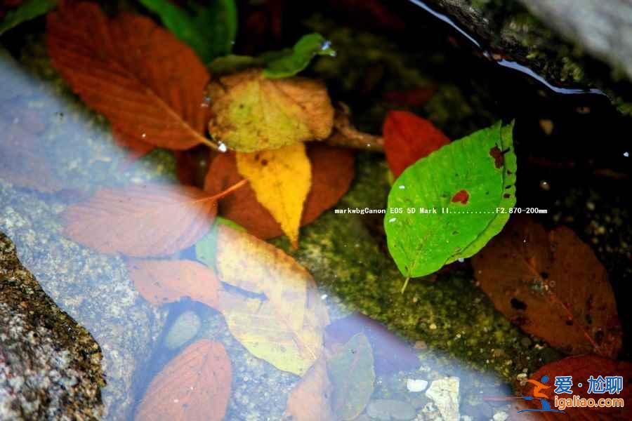 對的時間遇見對的風(fēng)景,每個月一條經(jīng)典路線推薦,12月走起? 對的時間遇見對的風(fēng)景,每個月一條經(jīng)典路線推薦,12月走起?