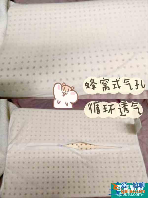 你和女明星之間,只差了這個乳膠枕頭? 你和女明星之間,只差了這個乳膠枕頭?