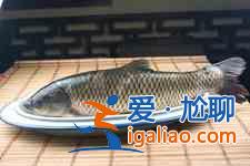 清燉草魚的家常做法？