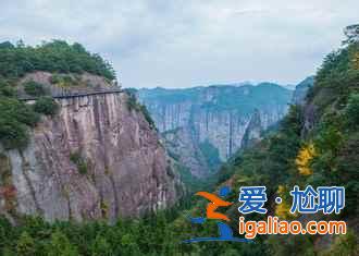 仙居薰衣草地址,仙居薰衣草怎么去,仙居薰衣草在哪? 仙居薰衣草地址,仙居薰衣草怎么去,仙居薰衣草在哪?