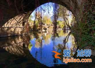 騰沖油菜花，騰沖油菜花季節，騰沖界頭油菜花節？