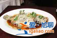 清蒸桂魚的做法大全？