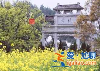 看油菜花的地方，2018到哪里看油菜花，全國各地油菜花地大盤點？