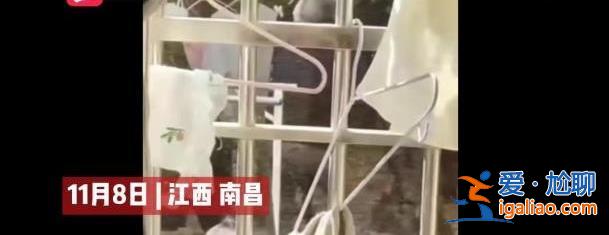 可怕，白發(fā)男子偷高校女生內(nèi)衣褲校保衛(wèi)處|警方已介入[女學(xué)生]？