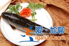 水煮魚片的家常做法？