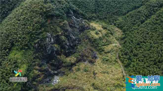 《溫暖有光放映隊》第七期：走遍安吉的綠水青山？