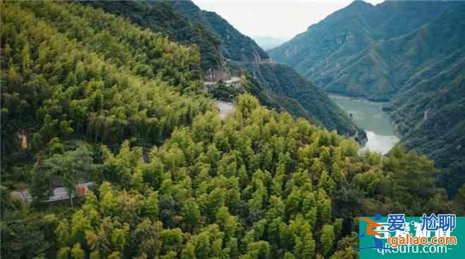 《溫暖有光放映隊》第七期：走遍安吉的綠水青山？