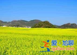 2017中國六大賞油菜花海勝地（附觀賞時間）？