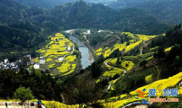 2017中國六大賞油菜花海勝地（附觀賞時間）？