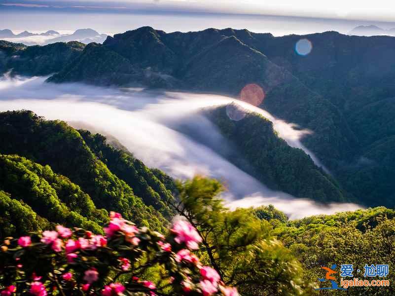 【光霧山杜鵑花節】2017光霧山杜鵑花時間—地點—門票—活動詳情？