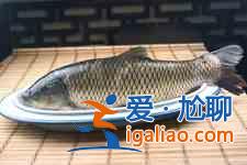 紅燒草魚？