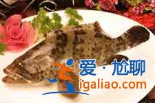 清蒸石斑魚？