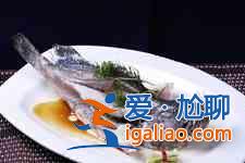 清蒸石斑魚？