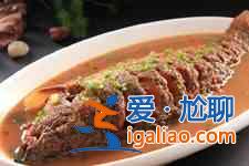 紅燒鯉魚(yú)的做法介紹？