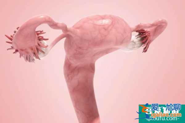 試管嬰兒能避免疤痕妊娠風險嗎？？