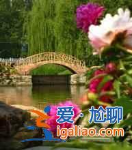 【古縣牡丹節(jié)】2017山西古縣牡丹節(jié)時(shí)間、花期、地點(diǎn)、門票，2017古縣牡丹節(jié)？