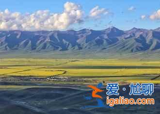 門源油菜花怎么去,2018門源油菜花交通費(fèi)用? 門源油菜花怎么去,2018門源油菜花交通費(fèi)用?