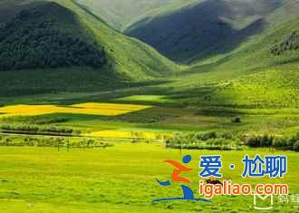 門源油菜花怎么去,2018門源油菜花交通費(fèi)用? 門源油菜花怎么去,2018門源油菜花交通費(fèi)用?