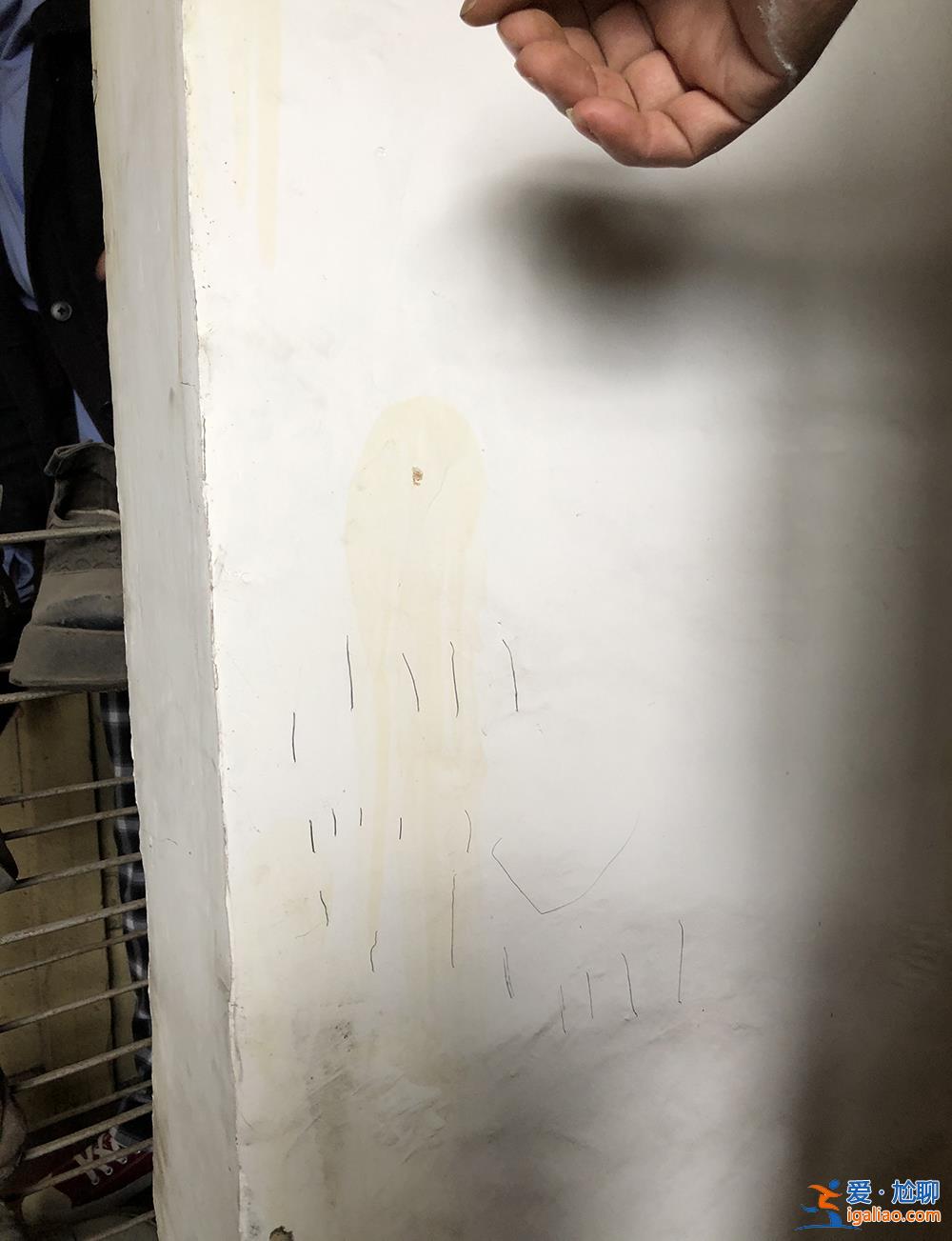 “合謀”情人到庭 辦案民警接受法庭調查？