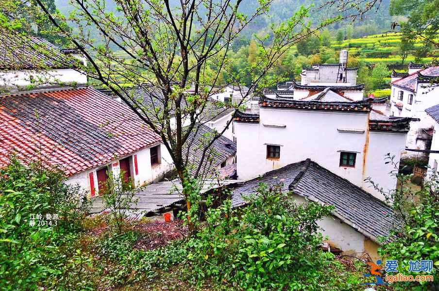 2018江西婺源油菜花線路,婺源的油菜花好看嗎? 2018江西婺源油菜花線路,婺源的油菜花好看嗎?