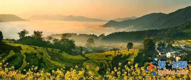 2018江西婺源油菜花線路,婺源的油菜花好看嗎? 2018江西婺源油菜花線路,婺源的油菜花好看嗎?
