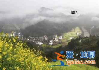 2017石潭油菜花什么時(shí)候開，2017石潭油菜花賞花攻略？