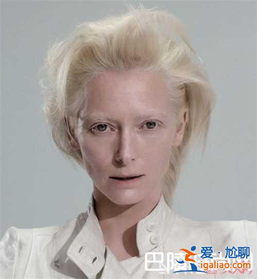 妮可·基德曼介紹 朱莉婭·羅伯茨介紹朱迪·福斯特介紹蒂爾達(dá)·斯文頓介紹伊莎貝爾·于佩爾介紹梅麗爾·斯？