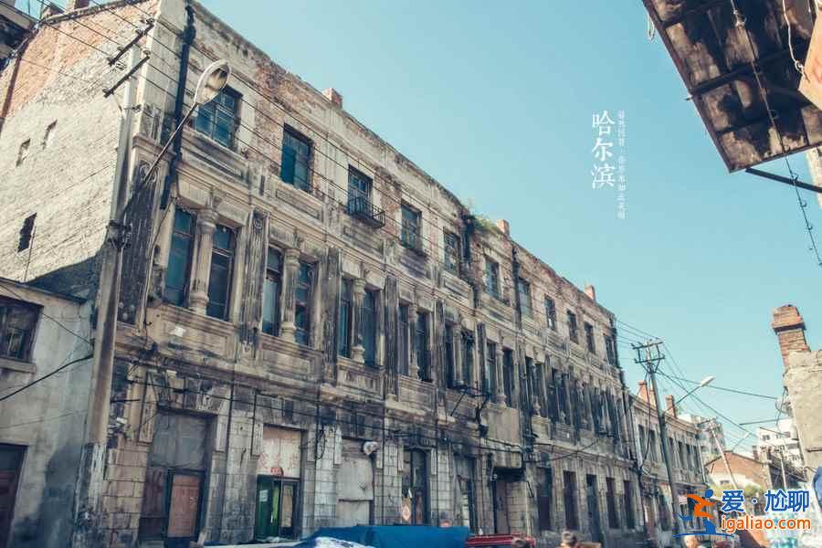 五月哈爾濱去哪玩,五月哈爾濱必去景點,五月哈爾濱好玩景點看這里!? 五月哈爾濱去哪玩,五月哈爾濱必去景點,五月哈爾濱好玩景點看這里!?