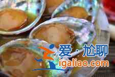鮑魚的家常做法？