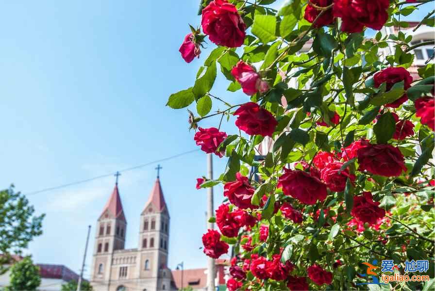 5月份去青島海鮮多嗎，5月去青島怎么樣？？