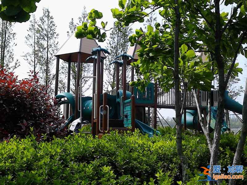 5月份去青島海鮮多嗎，5月去青島怎么樣？？