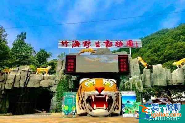 2022欒川竹海野生動物園免門票時間 春節活動？