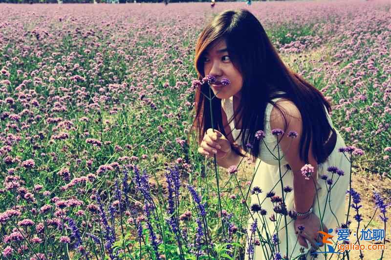 【北京薰衣草莊園】北京薰衣草莊園地址—門票,北京薰衣草主題公園? 【北京薰衣草莊園】北京薰衣草莊園地址—門票,北京薰衣草主題公園?