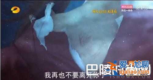 楚喬傳大結局：星玥夫婦結局如何？楚喬傳2還會開拍？？