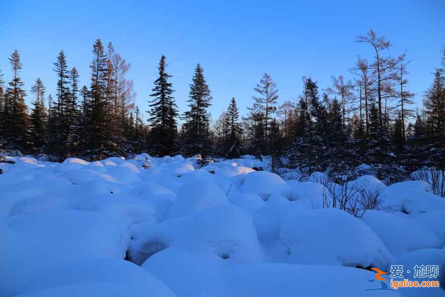冬天去哪看雪好？冬天哪里的雪景最漂亮？中國(guó)最美雪景在哪里？？