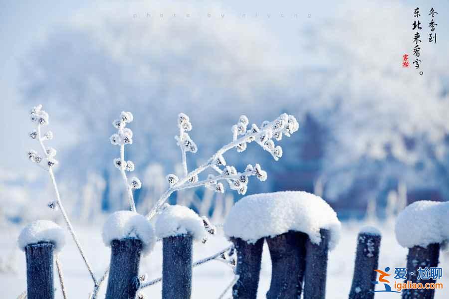 冬天去哪看雪好？冬天哪里的雪景最漂亮？中國(guó)最美雪景在哪里？？