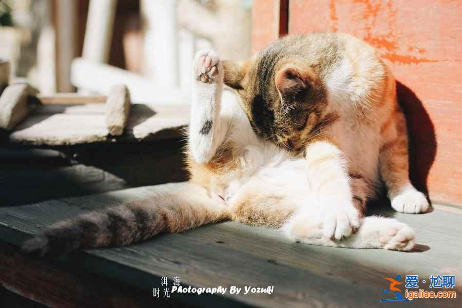 冬天去大理好嗎，冬天去大理穿什么？