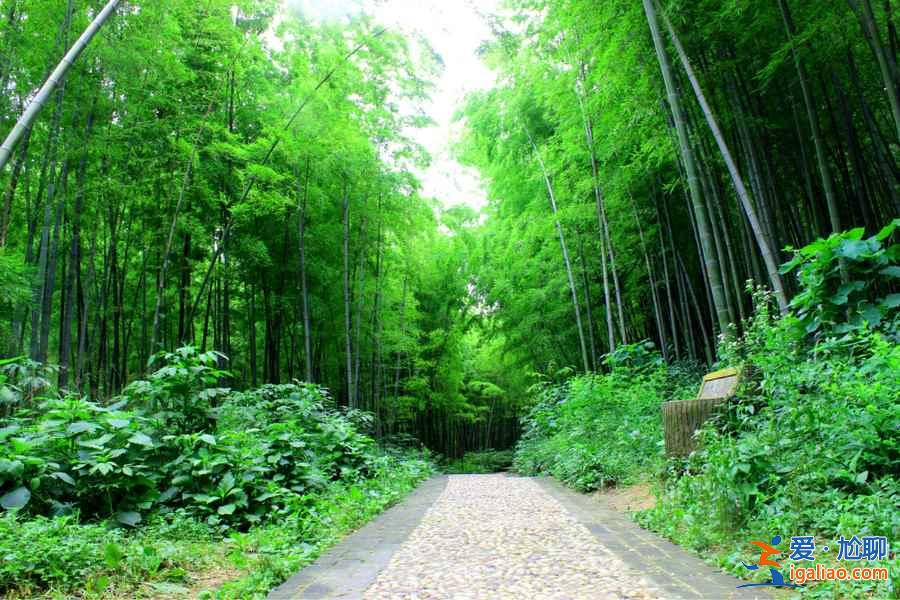 【五一人少景美的地方】2019五一人少好玩地方,五一去哪旅游好? 【五一人少景美的地方】2019五一人少好玩地方,五一去哪旅游好?