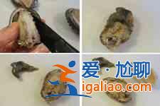 鮑魚的做法大全？