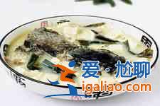 海帶的吃法大全？