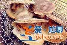 扇貝的做法大全？