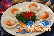 扇貝的做法大全？