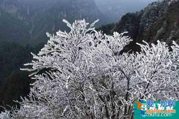 2022南寧大明山霧凇觀賞攻略 附最佳觀賞點推薦？
