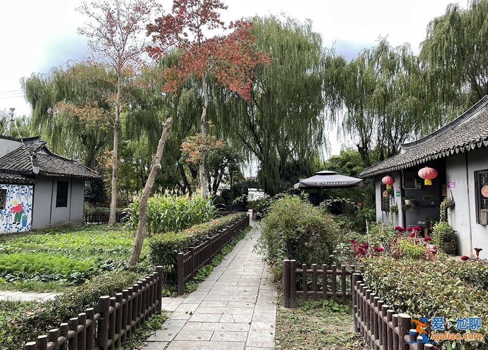 他們各自離開城市 在一座農(nóng)場中“效法自然”？
