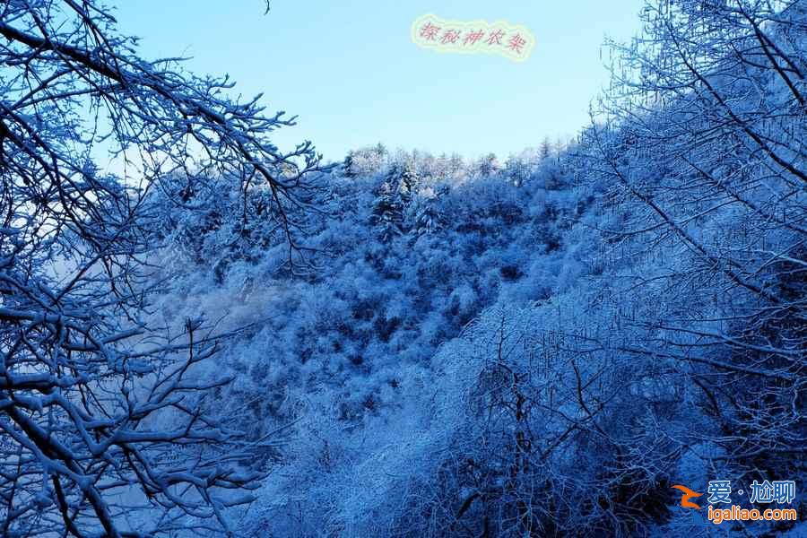 冬天適合去神農架嗎，冬天去神農架徒步怎么樣？