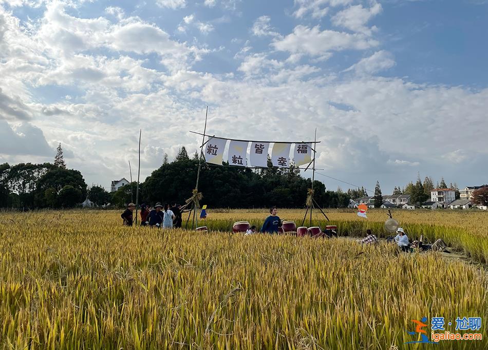 他們各自離開城市 在一座農(nóng)場中“效法自然”？